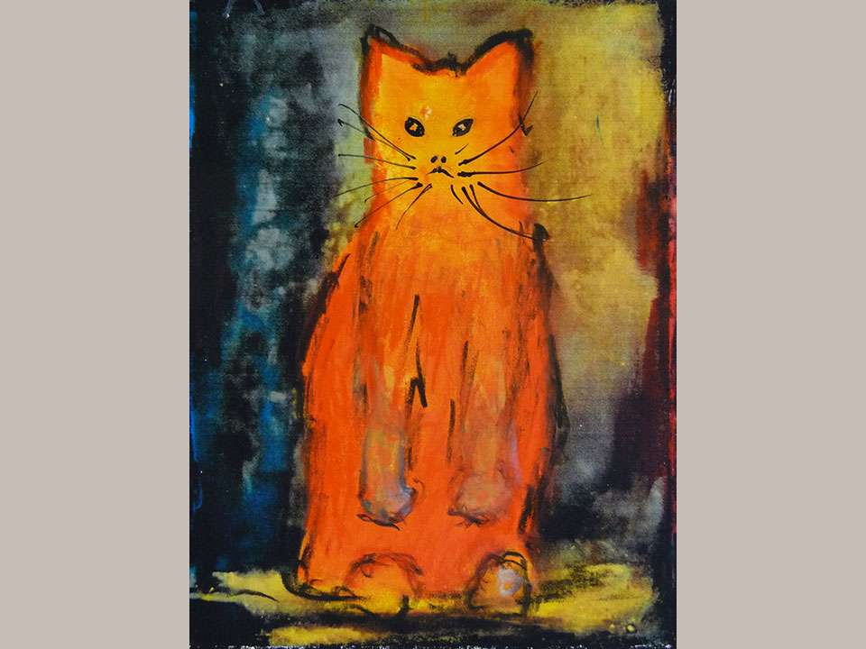 Katze 7